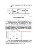 Referāts 'Grupas procesi', 3.