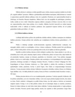 Diplomdarbs 'Kultūras tūrisms un tā attīstības iespējas Rīgā', 18.