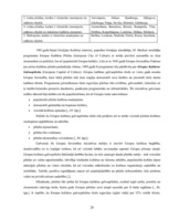 Diplomdarbs 'Kultūras tūrisms un tā attīstības iespējas Rīgā', 20.