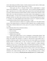 Diplomdarbs 'Kultūras tūrisms un tā attīstības iespējas Rīgā', 28.