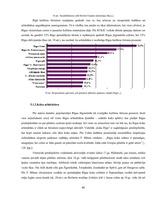 Diplomdarbs 'Kultūras tūrisms un tā attīstības iespējas Rīgā', 40.