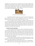 Diplomdarbs 'Kultūras tūrisms un tā attīstības iespējas Rīgā', 42.