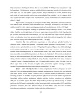 Diplomdarbs 'Kultūras tūrisms un tā attīstības iespējas Rīgā', 44.