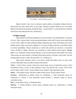 Diplomdarbs 'Kultūras tūrisms un tā attīstības iespējas Rīgā', 45.