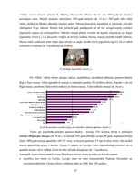 Diplomdarbs 'Kultūras tūrisms un tā attīstības iespējas Rīgā', 47.