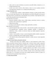 Diplomdarbs 'Kultūras tūrisms un tā attīstības iespējas Rīgā', 58.