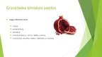 Prezentācija 'Granātābols', 7.