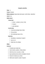 Prezentācija 'Integrēta nodarbība sākumskolā ar dominanti dabaszinībās', 1.