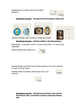 Prezentācija 'Integrēta nodarbība sākumskolā ar dominanti dabaszinībās', 3.