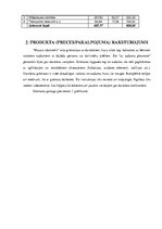 Biznesa plāns 'Biznesa plāns SIA "Mazais stāstnieks"', 10.