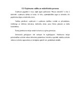 Biznesa plāns 'Biznesa plāns SIA "Mazais stāstnieks"', 22.