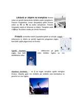 Referāts 'Kalnu slēpošana', 2.