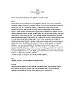 Konspekts 'Raiņa drāma "Uguns un nakts"', 1.