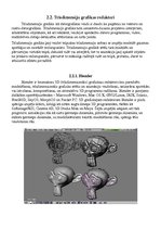 Paraugs 'Grafiskie redaktori, to veidi un pielietošana', 13.