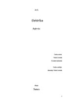 Referāts 'Elektrība', 1.