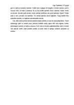 Eseja 'Kultūras nozīme starptautiskajā mārketingā', 2.