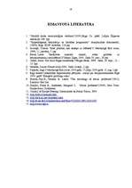 Referāts 'Bezpajumtniecība – sociāla problēma Lietuvā', 16.