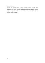 Prakses atskaite 'Prakses atskaite sākumskolā', 15.