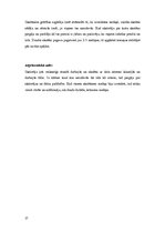 Prakses atskaite 'Prakses atskaite sākumskolā', 17.