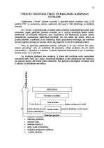 Referāts 'Uzņēmuma “Velves” mārketinga politikas un darbības plānošana', 22.