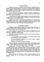 Referāts 'Uzņēmuma “Velves” mārketinga politikas un darbības plānošana', 28.