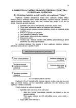 Referāts 'Uzņēmuma “Velves” mārketinga politikas un darbības plānošana', 30.