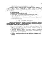 Referāts 'Uzņēmuma “Velves” mārketinga politikas un darbības plānošana', 32.