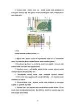 Referāts 'Nauda un inflācija Latvijā', 15.