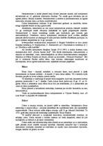 Referāts '20.gs. mūzikas virzieni un stili', 3.