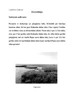 Prakses atskaite 'Pirmā specializācijas prakse matemātikā', 19.