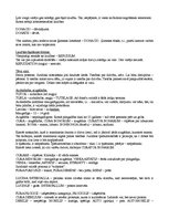 Konspekts 'Romiešu tiesības', 2.