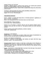 Konspekts 'Romiešu tiesības', 11.