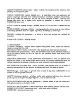 Konspekts 'Romiešu tiesības', 22.