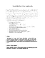 Referāts 'Literārās valodas stili', 3.