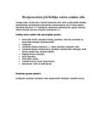 Referāts 'Literārās valodas stili', 4.