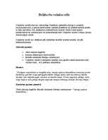 Referāts 'Literārās valodas stili', 7.