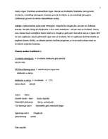 Konspekts 'Valūtas tirgus būtība', 1.