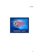 Referāts 'Galapagu salas un ekotūrisms', 15.