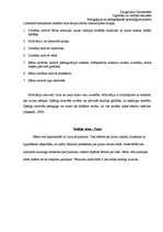 Prakses atskaite 'Novērošanas prakse', 8.