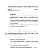 Referāts 'Neverbālās saskarsmes nozīme pasniedzēju darbā ar studentiem', 23.