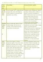 Konspekts 'Latviešu pirmsnacionālā literatūra. Laikmetu pārskats', 3.