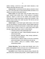 Referāts 'Uzņēmuma SIA "Diž-ozols" konkurētspējas analīze un tās paaugstināšanas iespējas', 14.