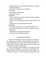 Referāts 'Uzņēmuma SIA "Diž-ozols" konkurētspējas analīze un tās paaugstināšanas iespējas', 21.