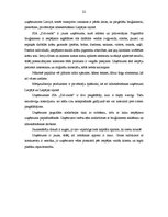 Referāts 'Uzņēmuma SIA "Diž-ozols" konkurētspējas analīze un tās paaugstināšanas iespējas', 22.