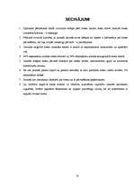 Referāts 'Stress jauniešu vidū un tā pārvarēšana', 23.