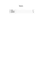 Referāts 'Partijas "Jaunais Laiks" priekšvēlēšanu analīze', 1.