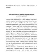 Referāts 'Raiņa biogrāfija', 3.