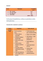 Prakses atskaite 'Speciālā pirmsskolas izglītības iestāde "Valodiņa"', 8.