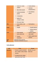 Prakses atskaite 'Speciālā pirmsskolas izglītības iestāde "Valodiņa"', 12.