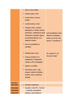 Prakses atskaite 'Speciālā pirmsskolas izglītības iestāde "Valodiņa"', 14.